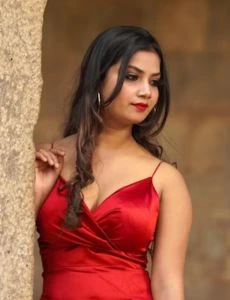 call girl service in Vadnagar